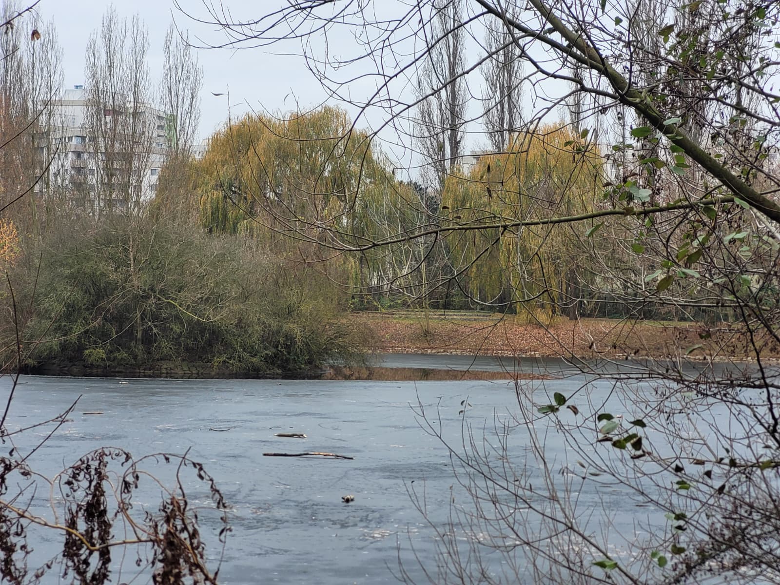 eislaufen schlittschuh