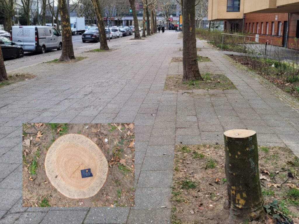 merkwürdig