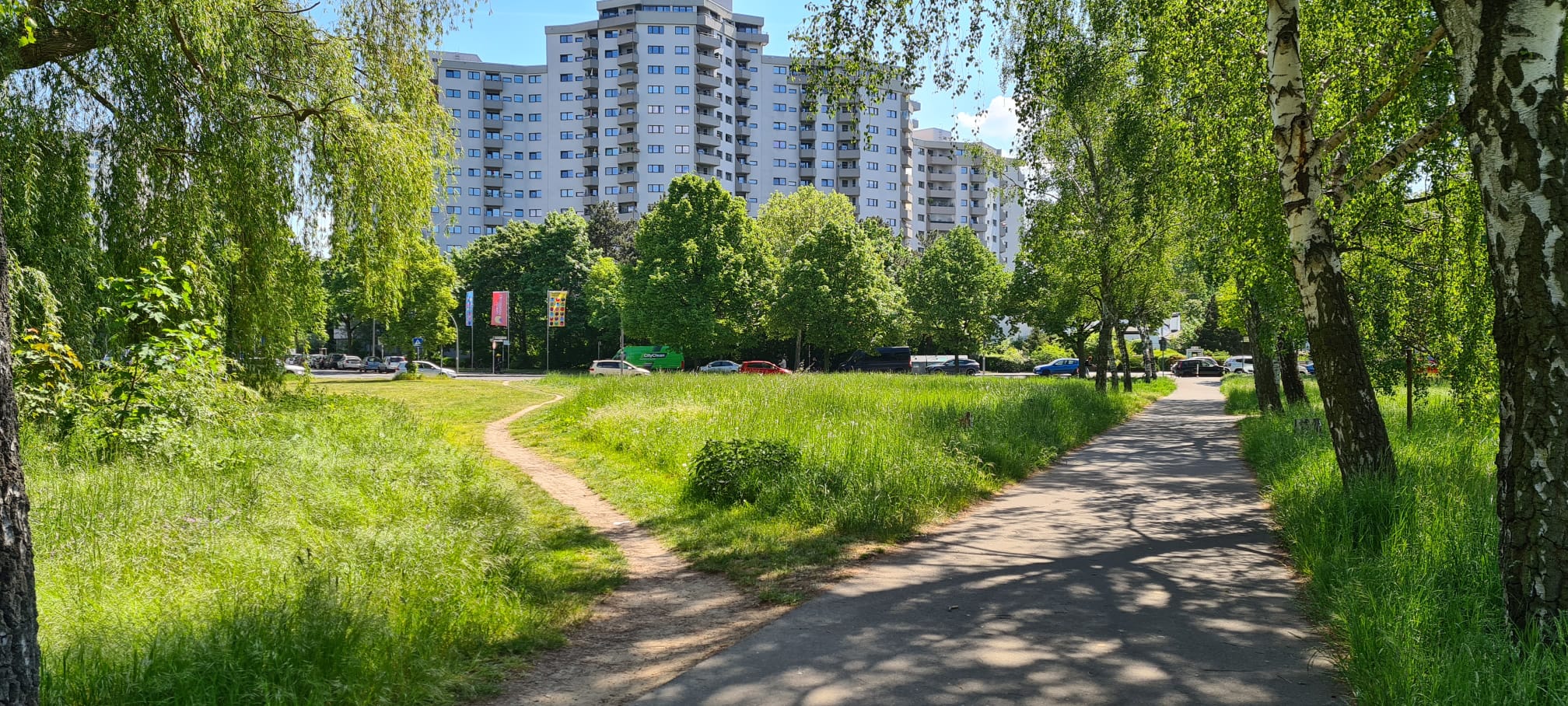 trampelpfad