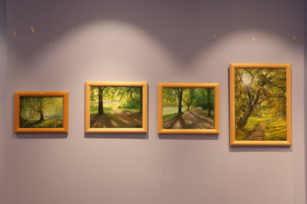 ausstellung mv kann kunst