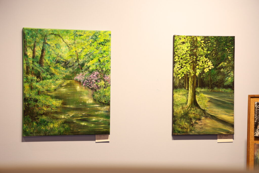 ausstellung mv kann kunst