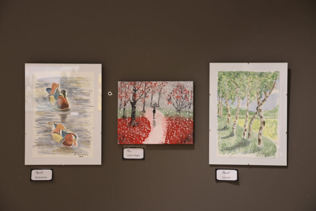 ausstellung mv kann kunst