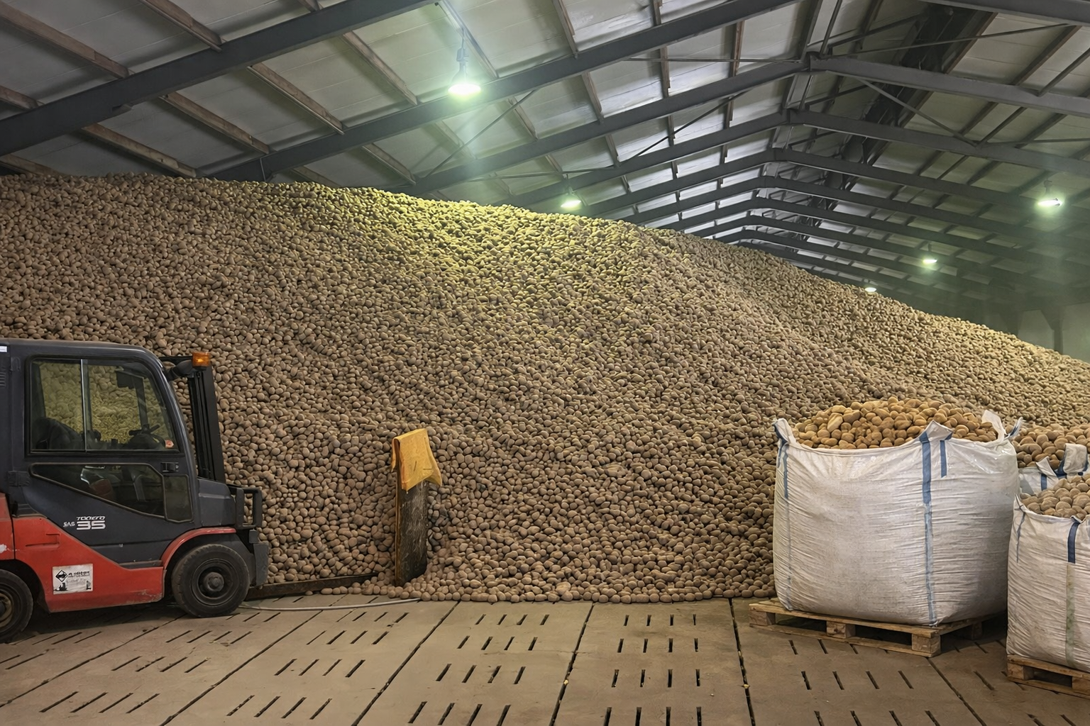 2b9ef1c3-478e-4829-8f45-84b7dfe7324d Kartoffeln