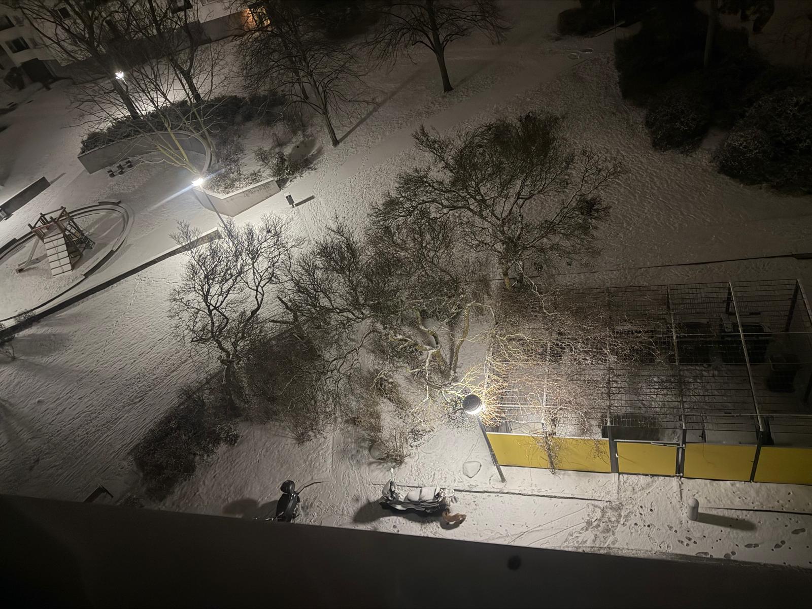 WhatsApp Image 2026-02-18 at 16.22.26 katze füchse