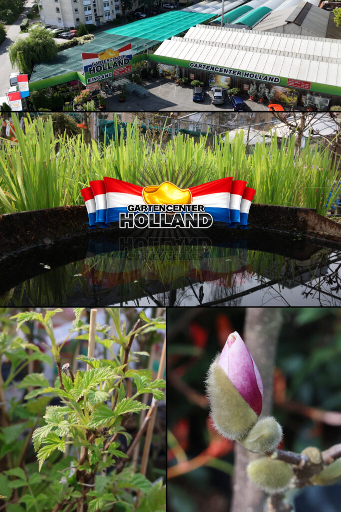 gartencenter