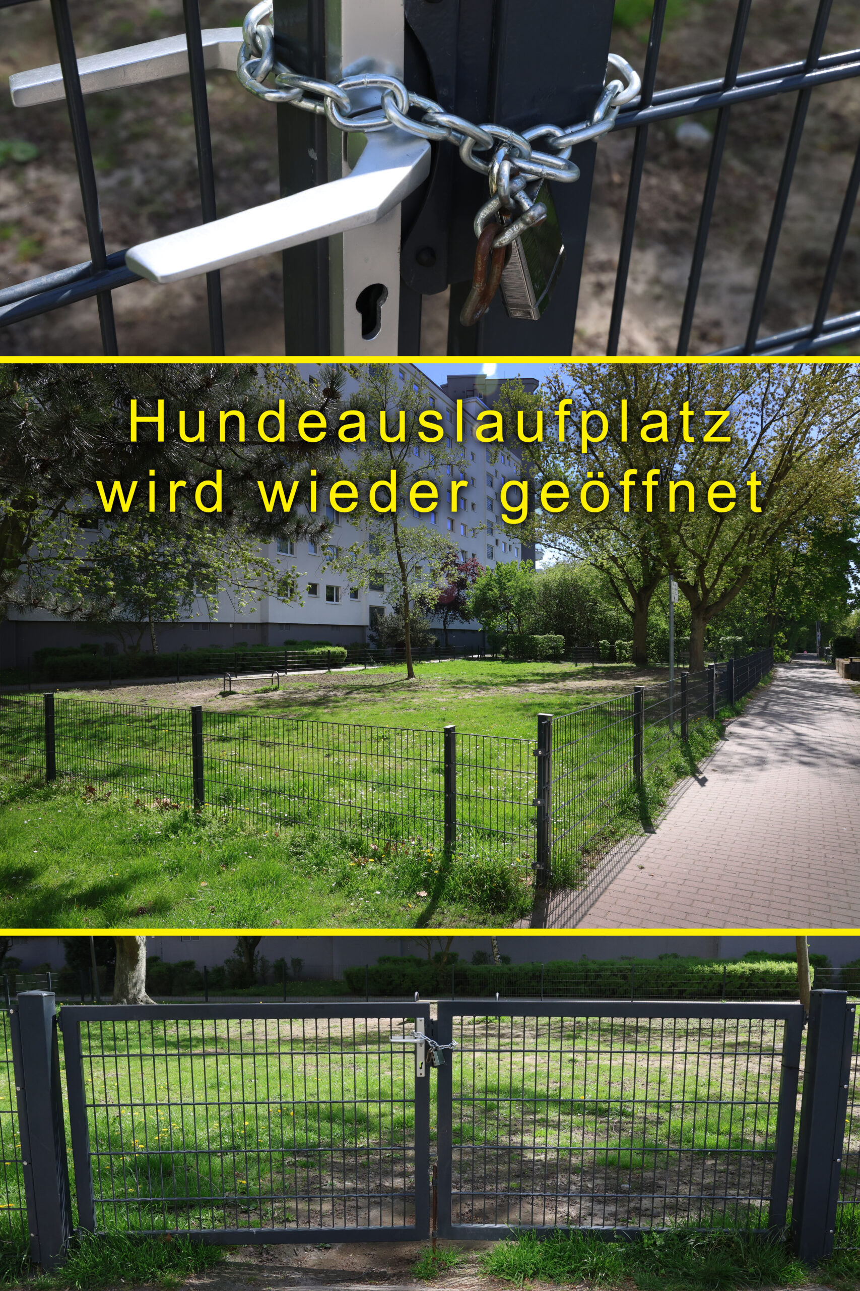 bienen hundeauslauf