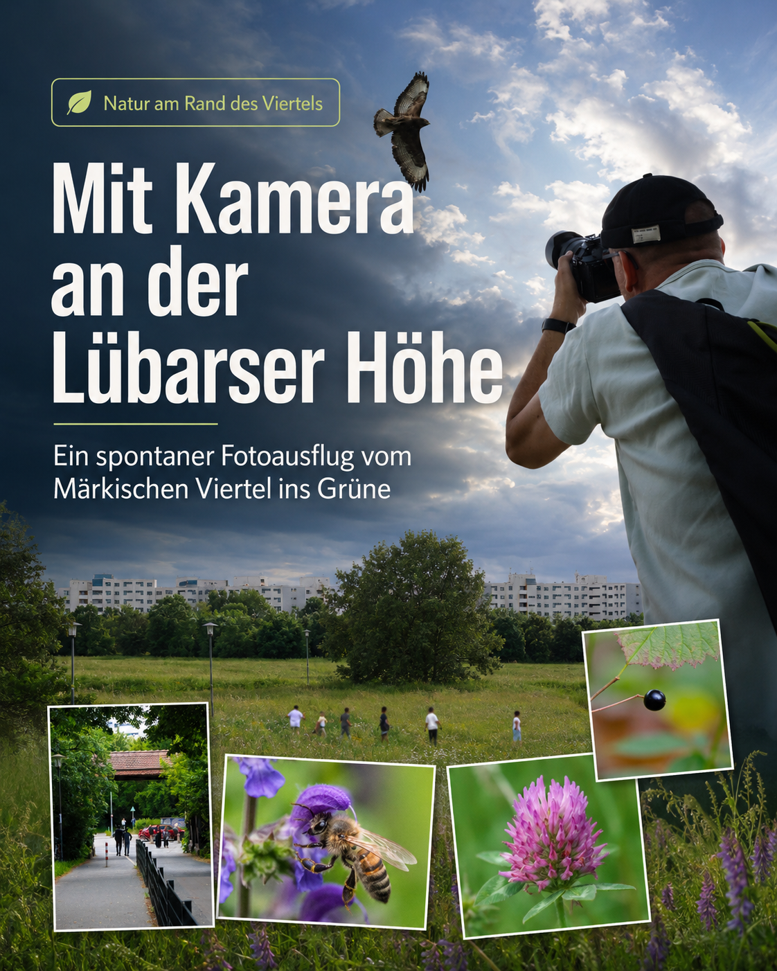 müllberg lübarser höhe