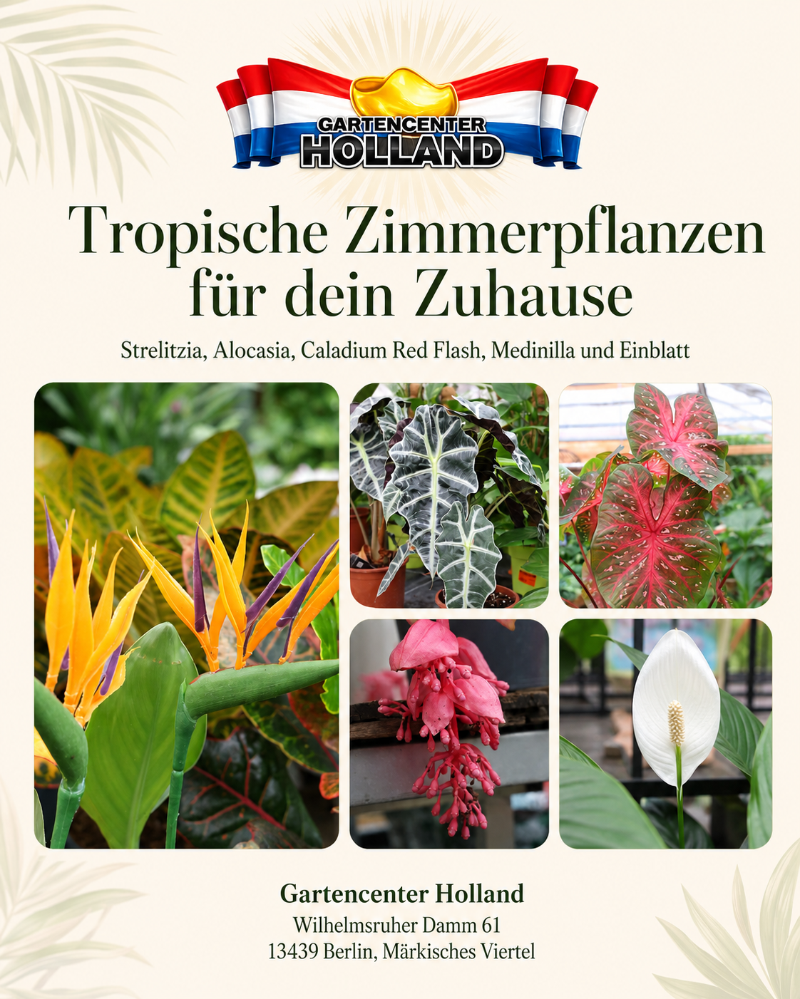 gartencenter