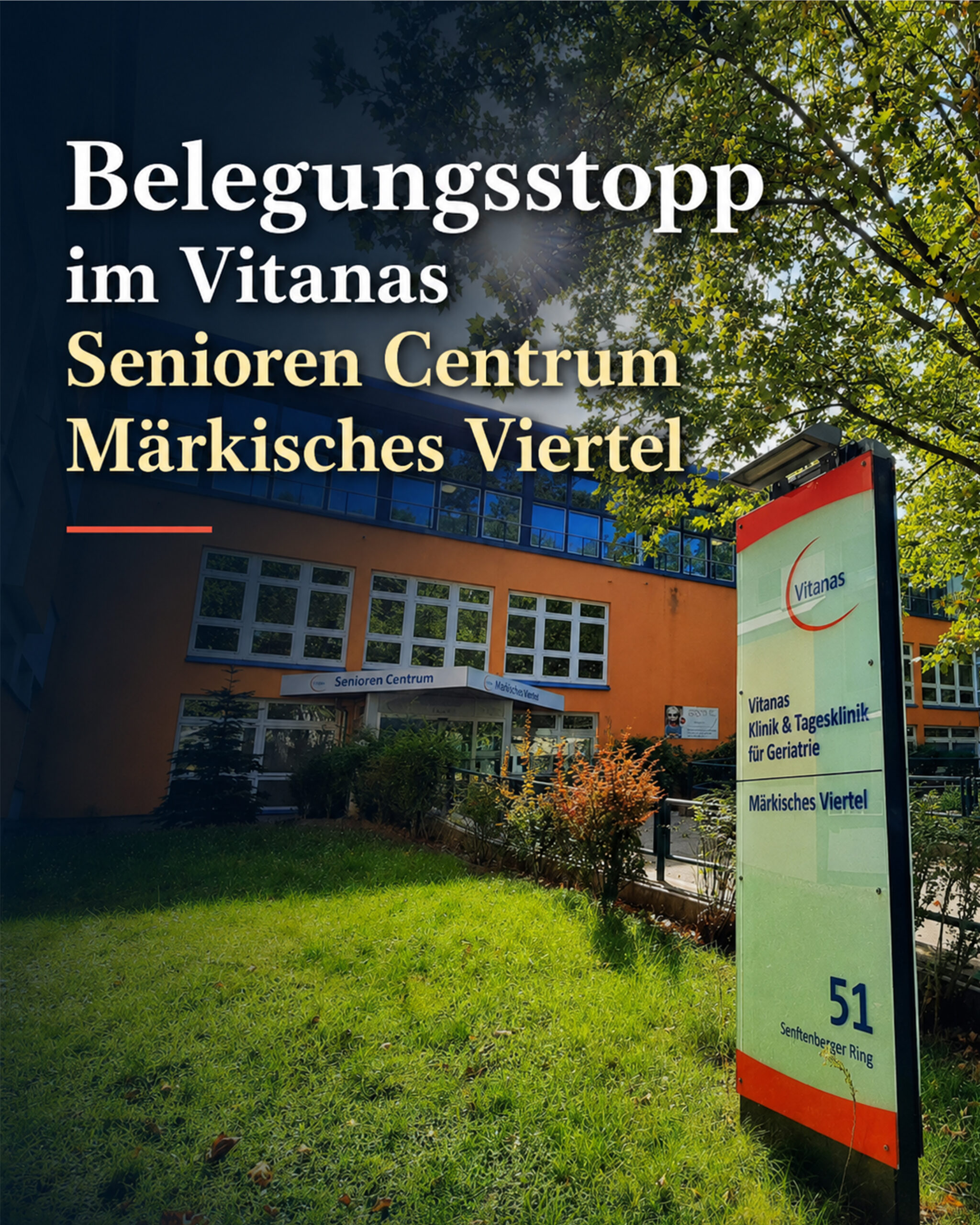 beitragsgrafik Kopie vitanas