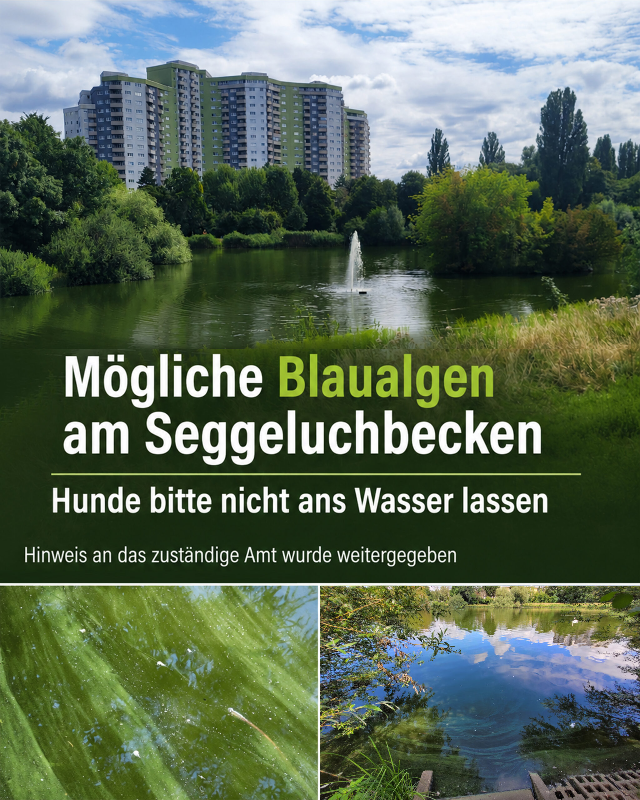 blaualgen