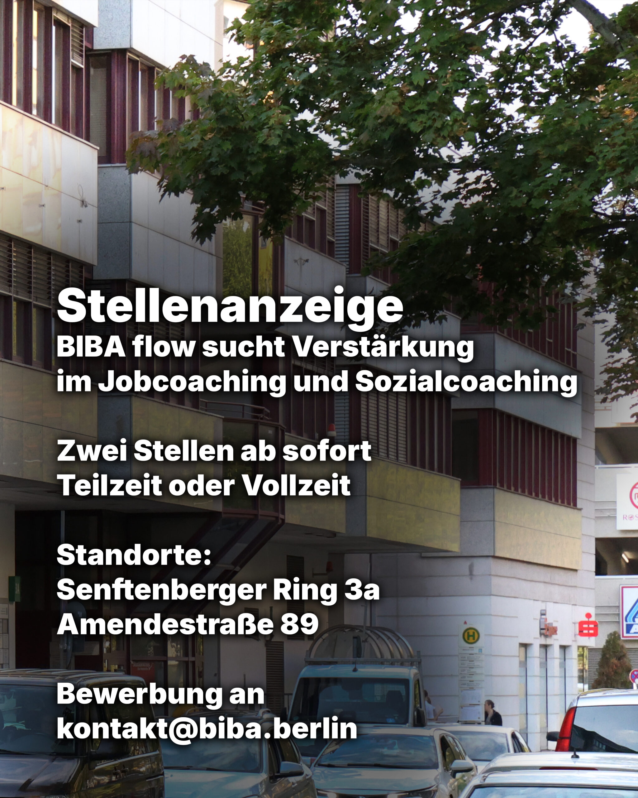 stellenanzeigen