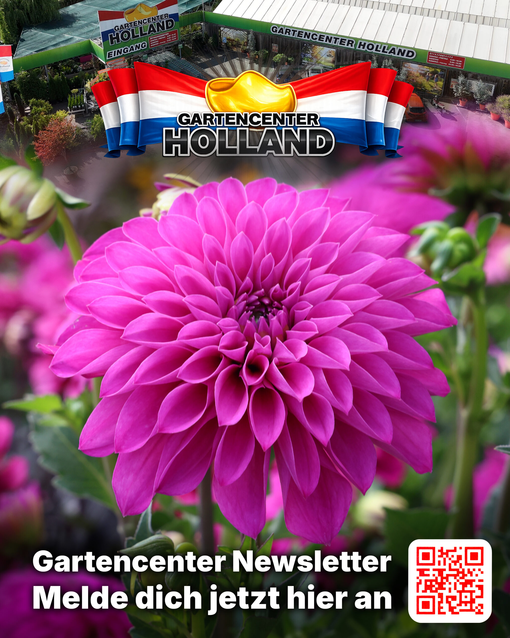 gartencenter