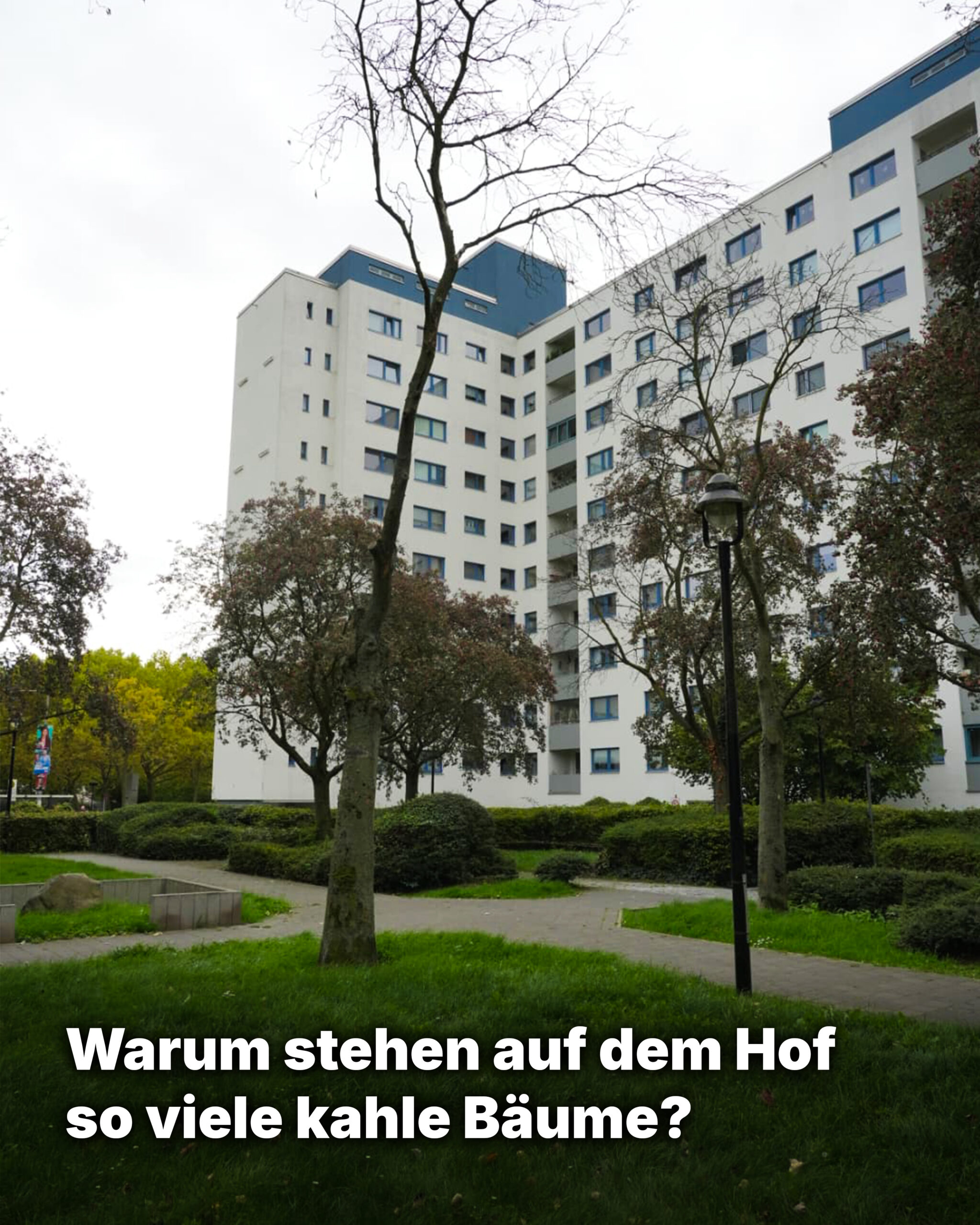 bäume